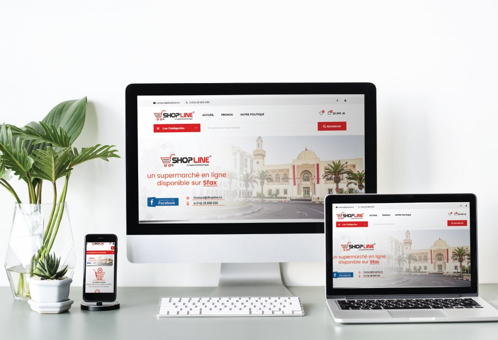 Création d&rsquo;un site web pour : Shopline